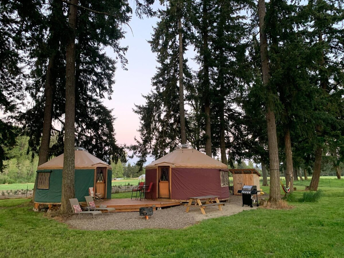 20' Yurt Getaway