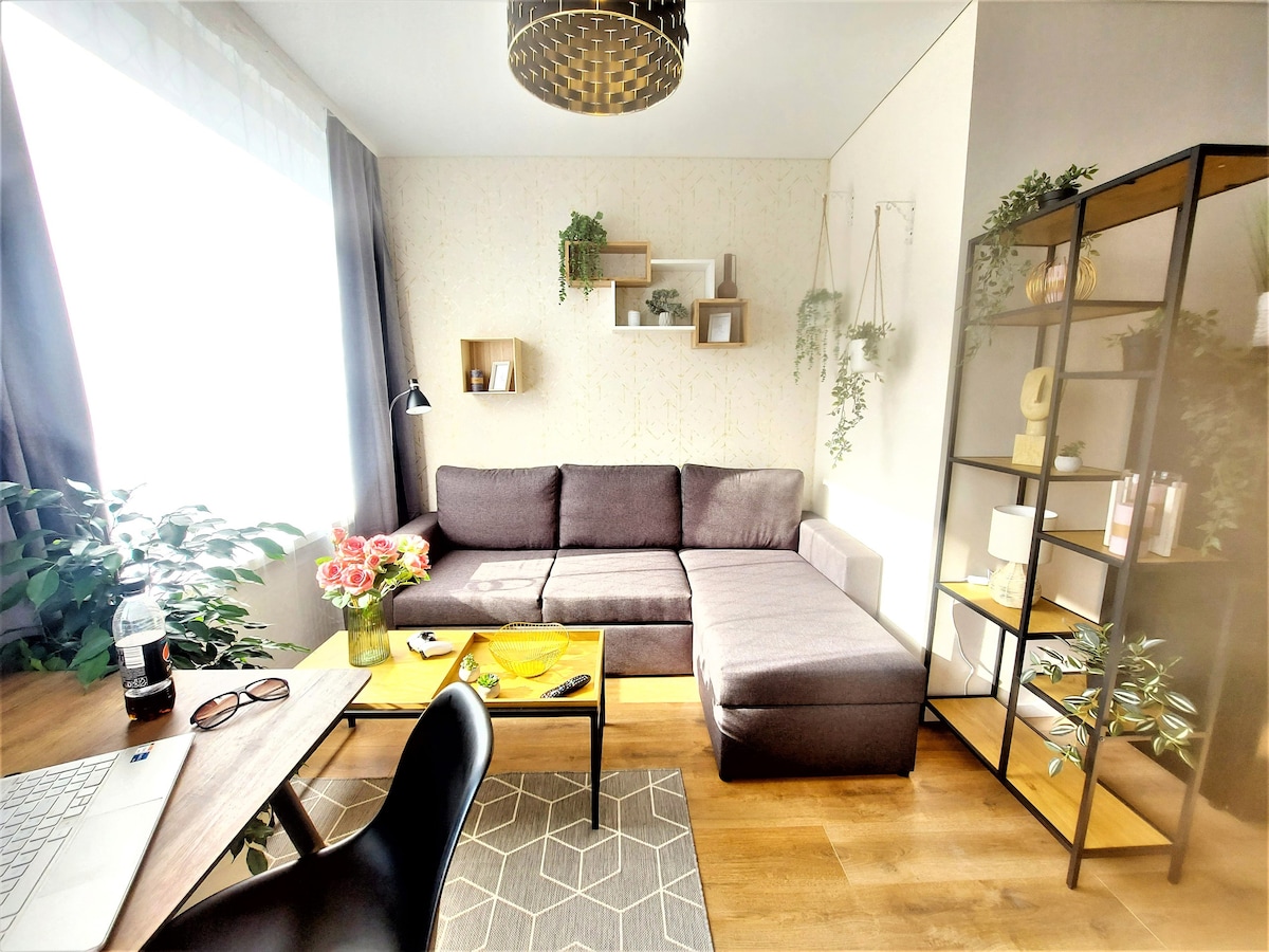 Studio Apartment in Tartu (220)