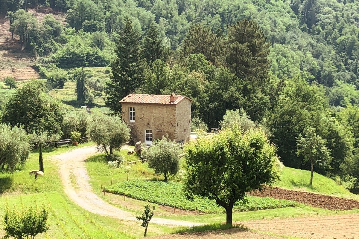 La Casina del Fornaio