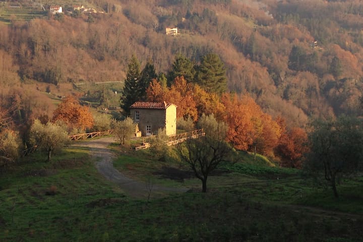 Pescia, località Castelvecchio 的民宿