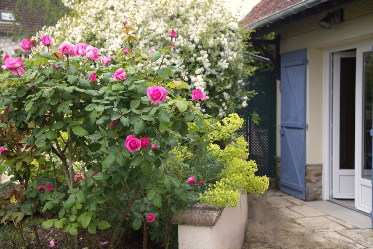 Clair logis, Giverny