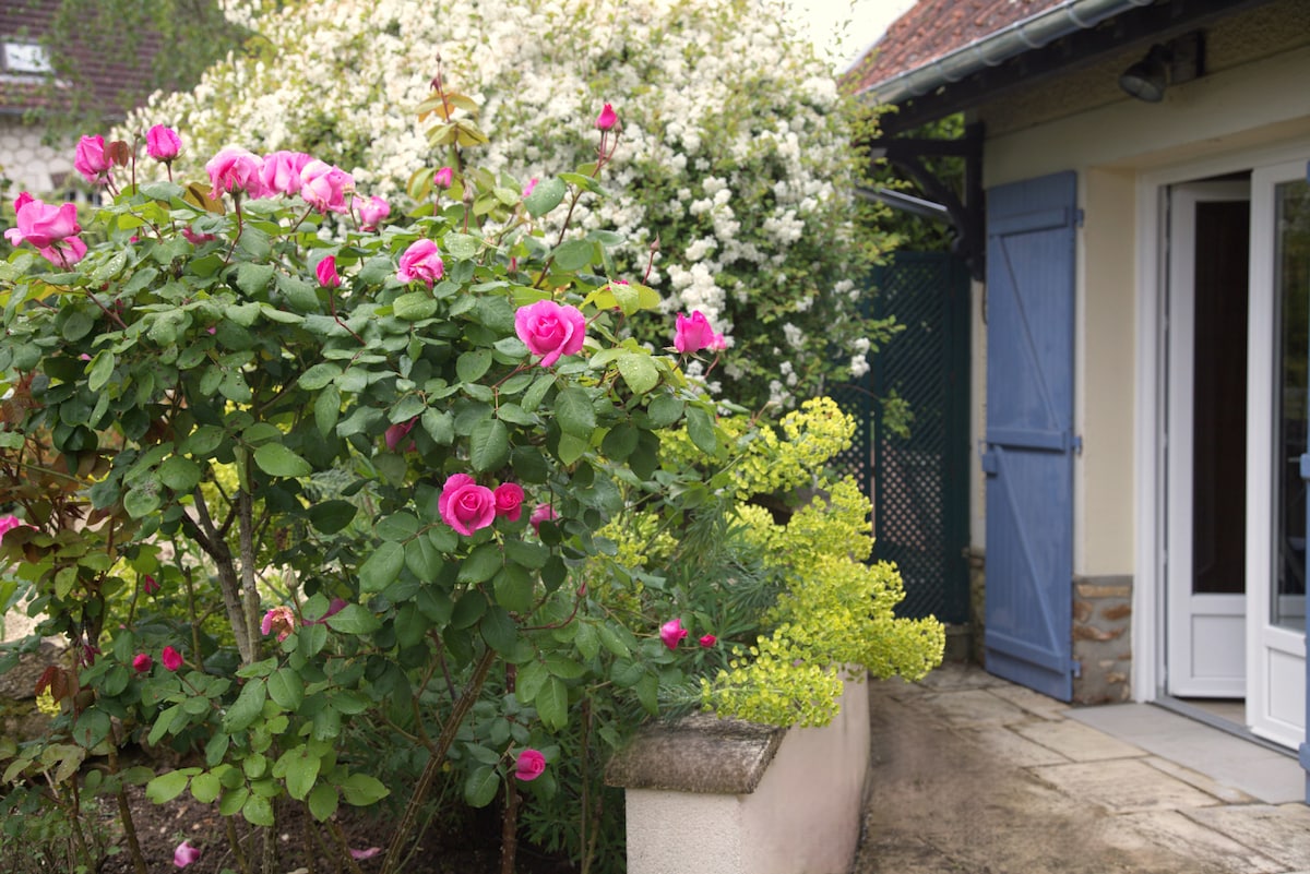 Clair logis, Giverny