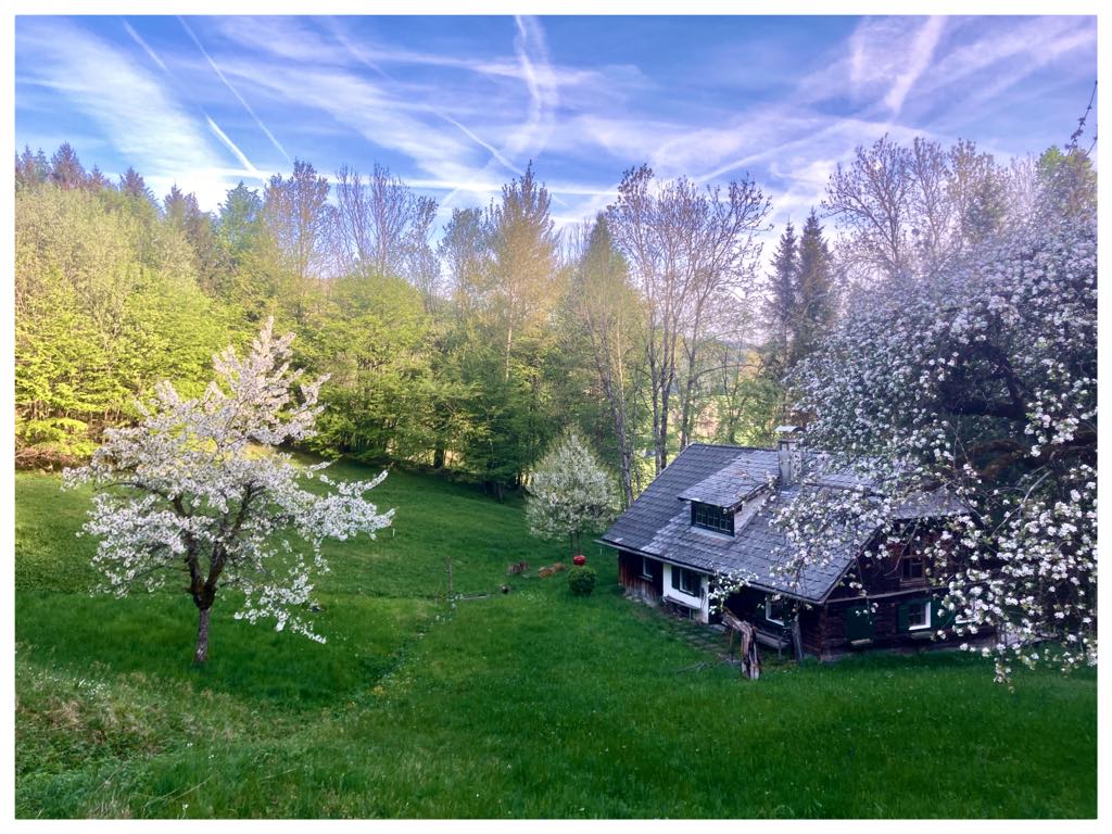 Halthäusel - Auf der Alm