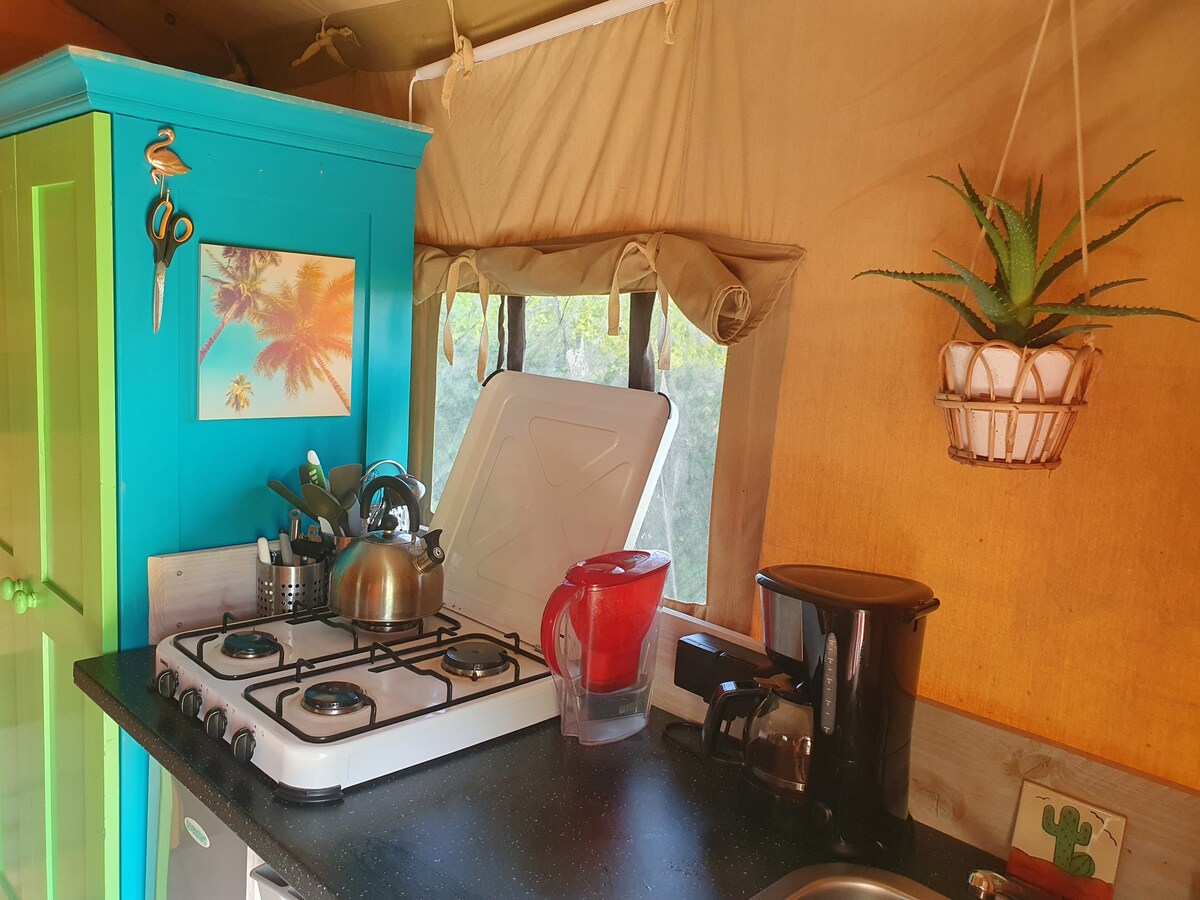 Safaritent - glamping in Mexico style