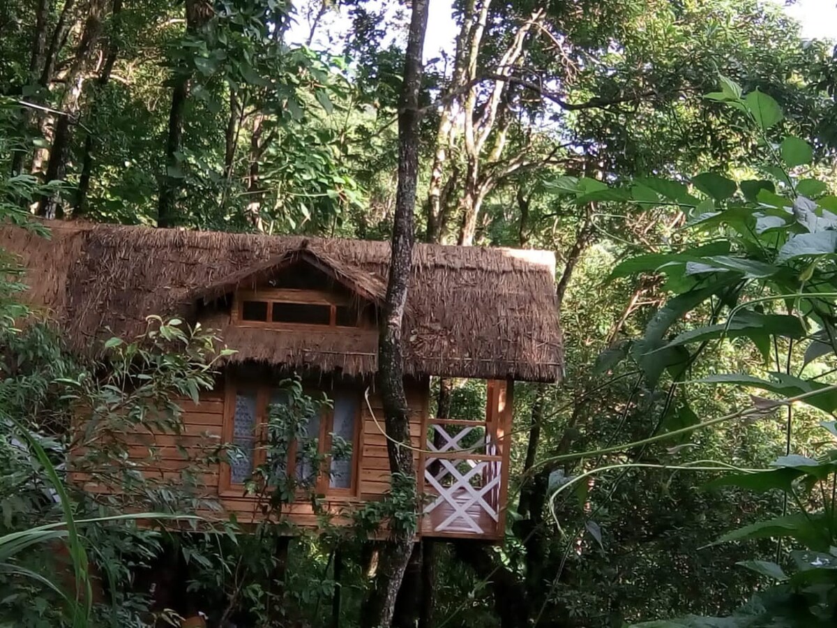 Tree House with Pool in Sikkim