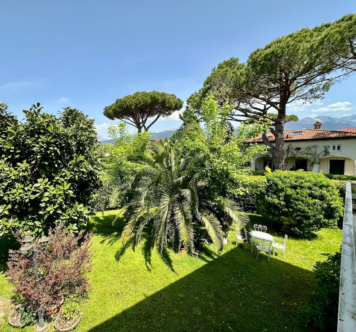 Green Villa Forte dei Marmi + 1000mq2 garden