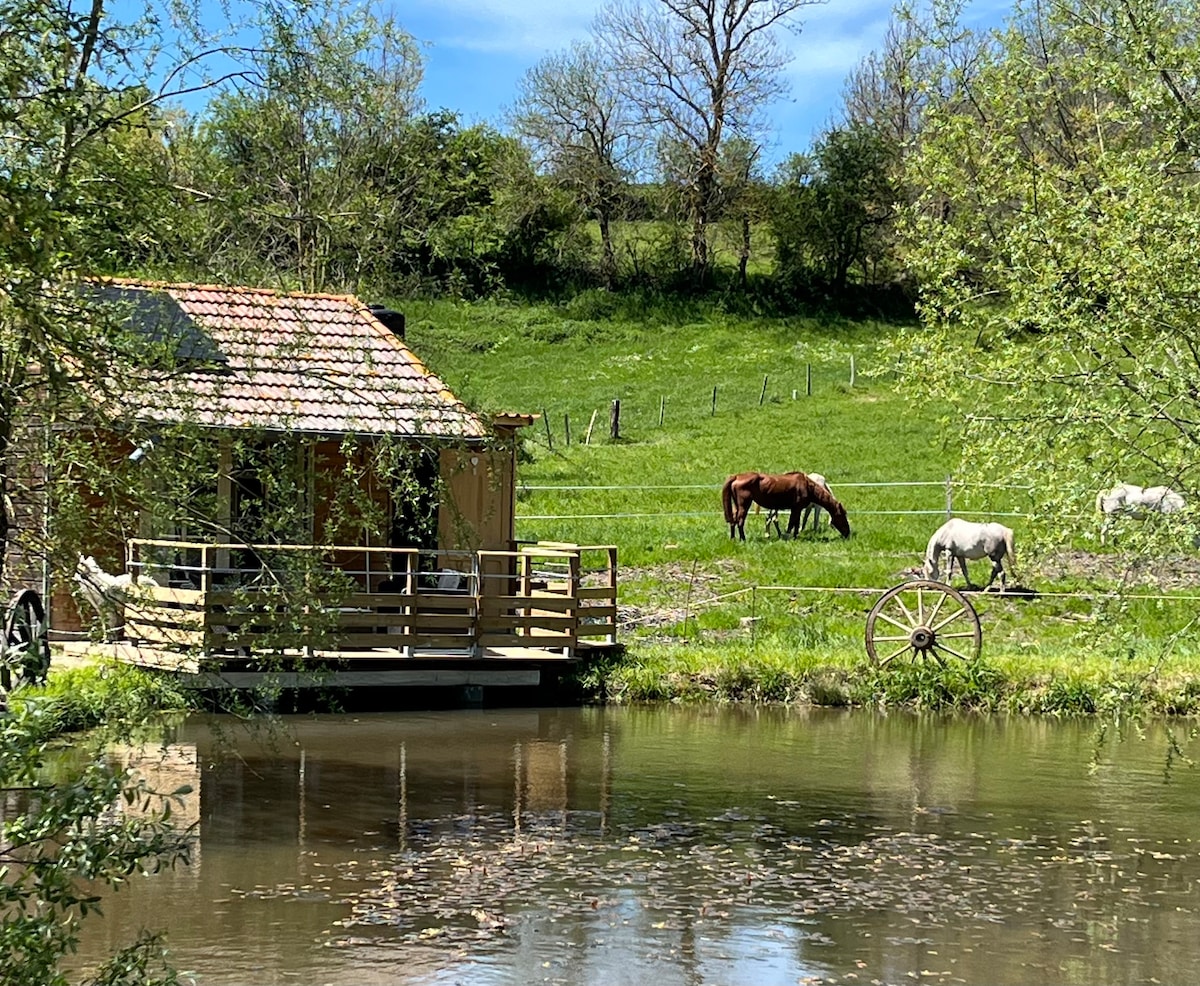 Cabane au bord d’un étang