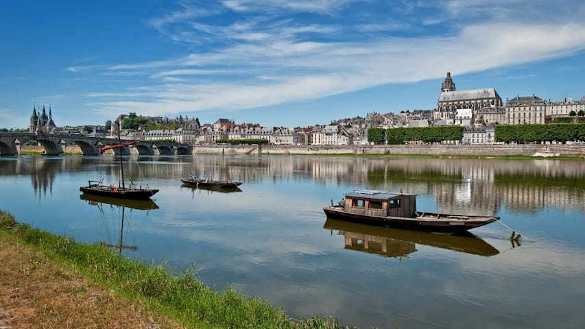 布洛瓦 （Blois）的民宿