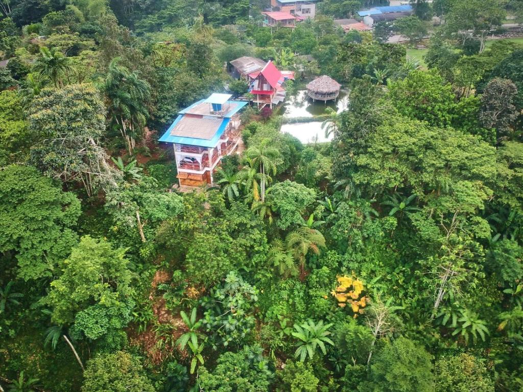 Habitación privada Tucanes con vista a naturaleza