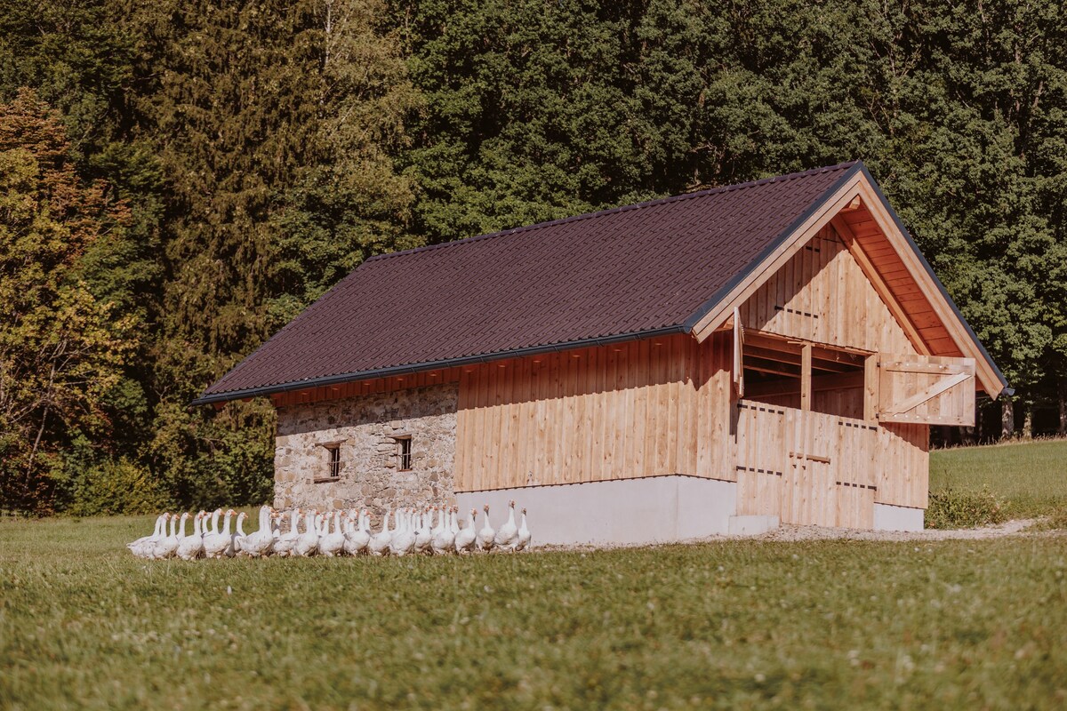 Hofstatt Salzburg Ferienwohnung