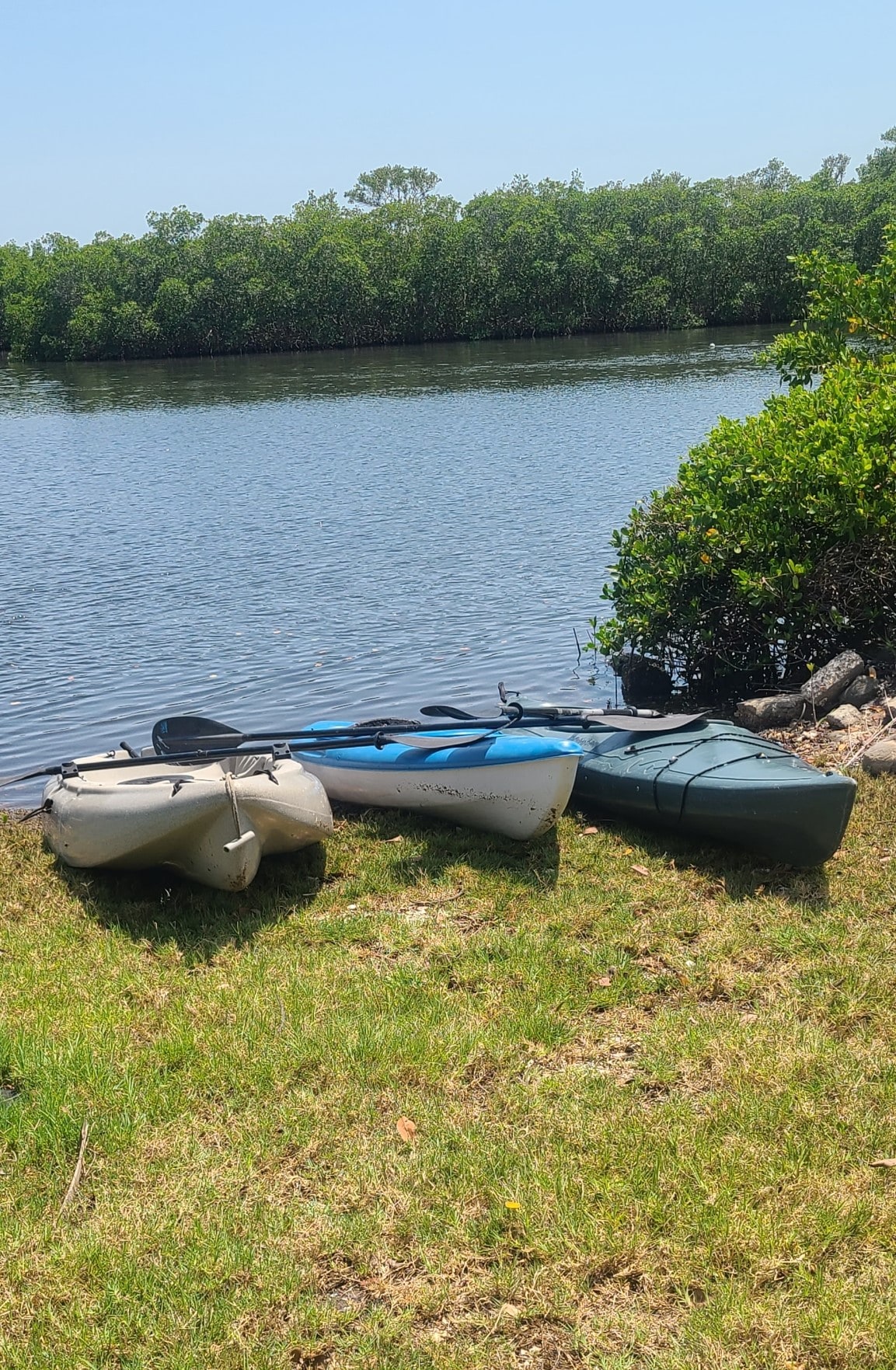 Kayaking at Bullfrog Creek