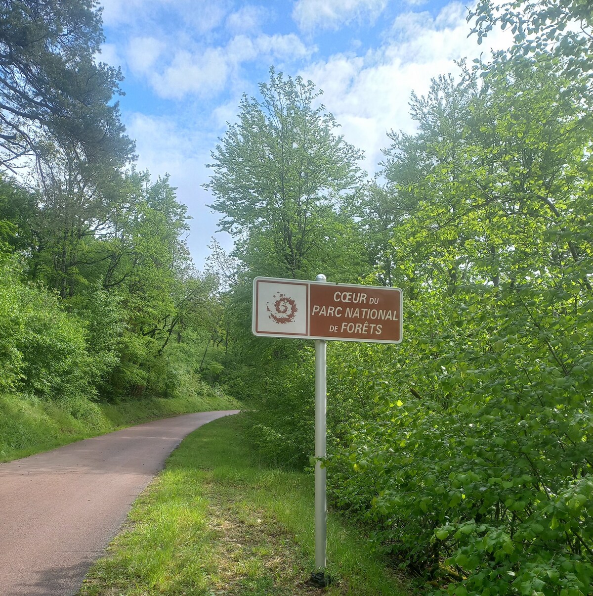 Chambre  Parc National de Forêts