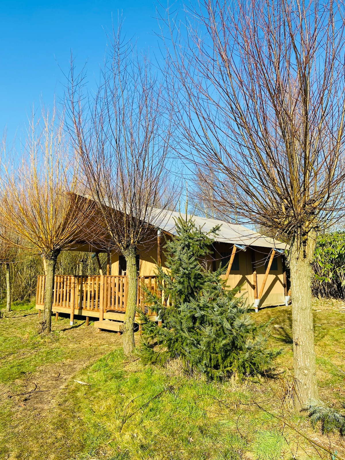 Glamping lodge 3