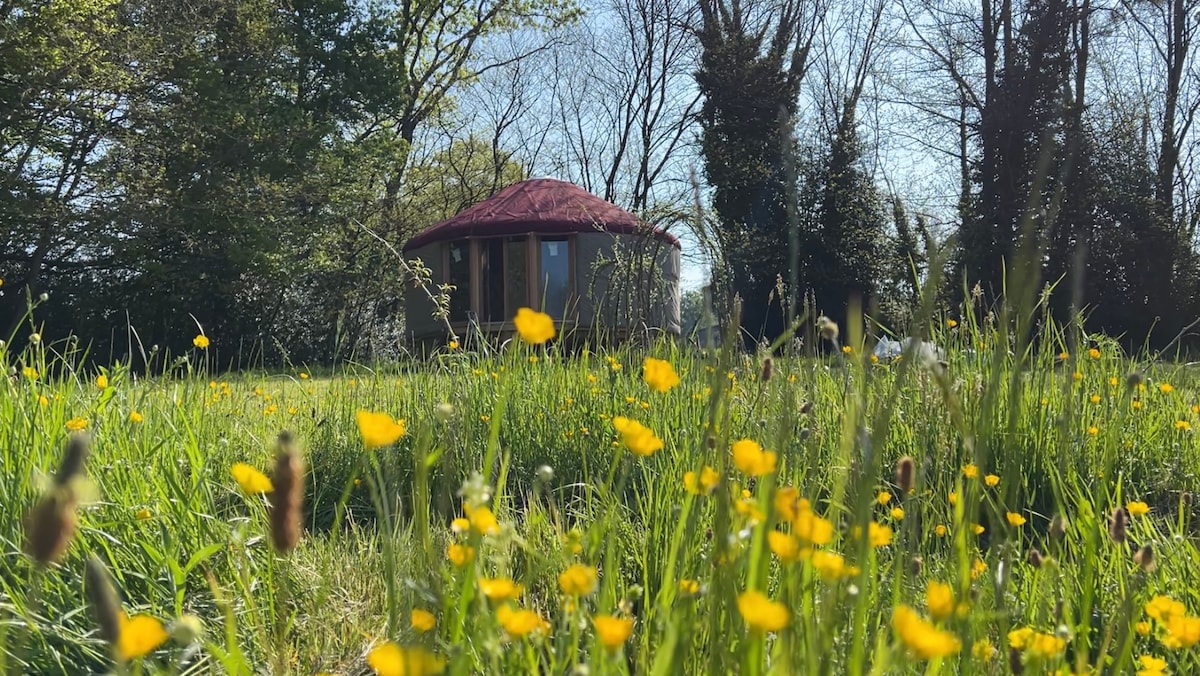 Yourte en Corrèze