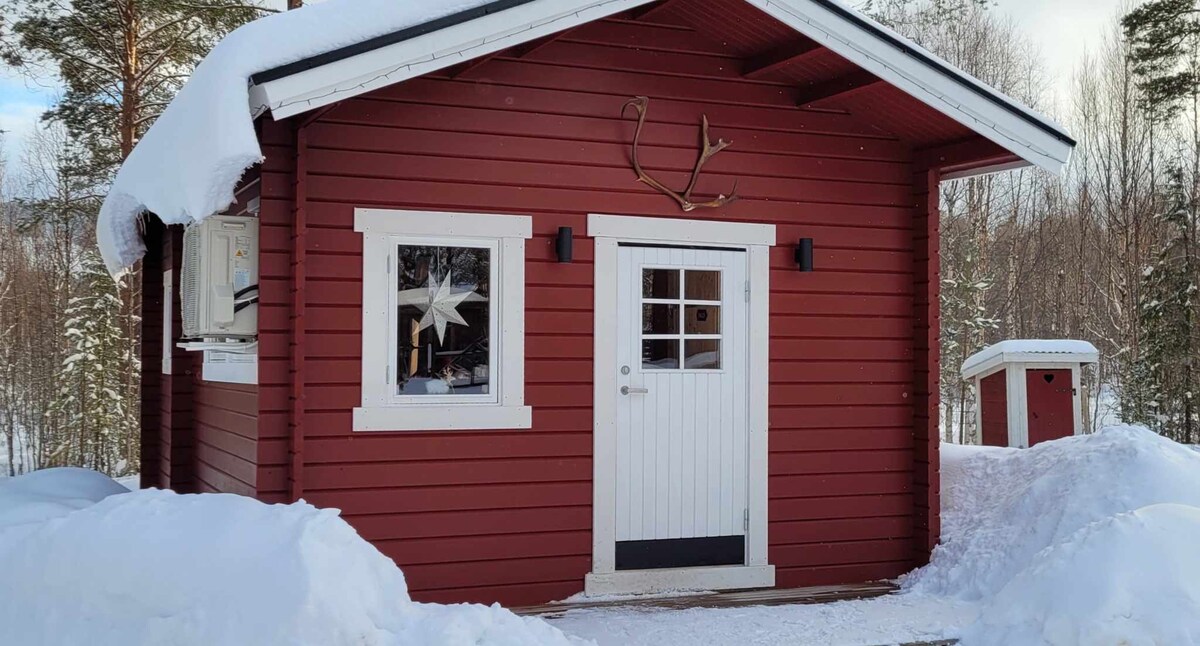 Granola Camp, au coeur des chiens de traîneau