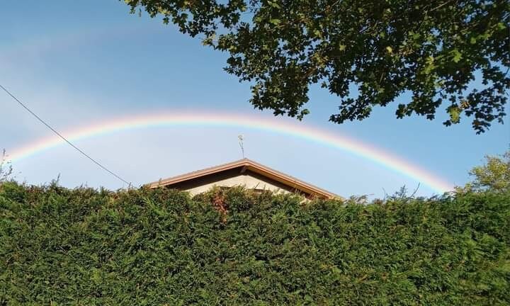 Appartamento il Bosco