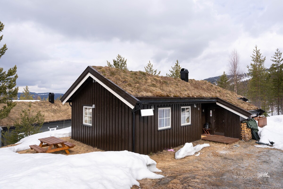 Moderne hytte i Nesfjellet