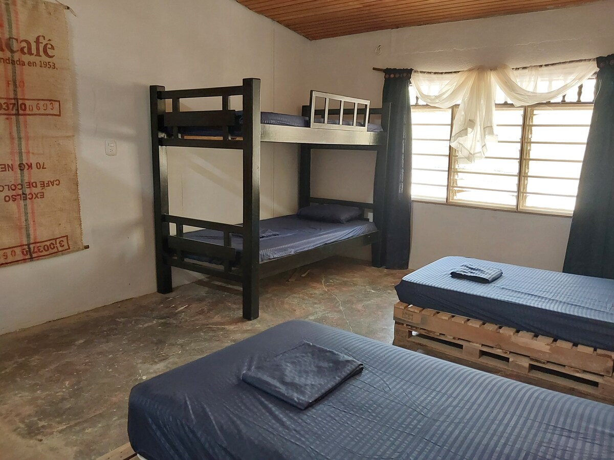 Dormitorio de Ecohostal Neugeku