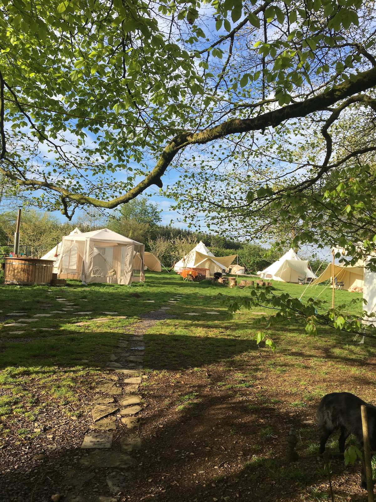 Belle Glamping whole site with huge wooden hot tub