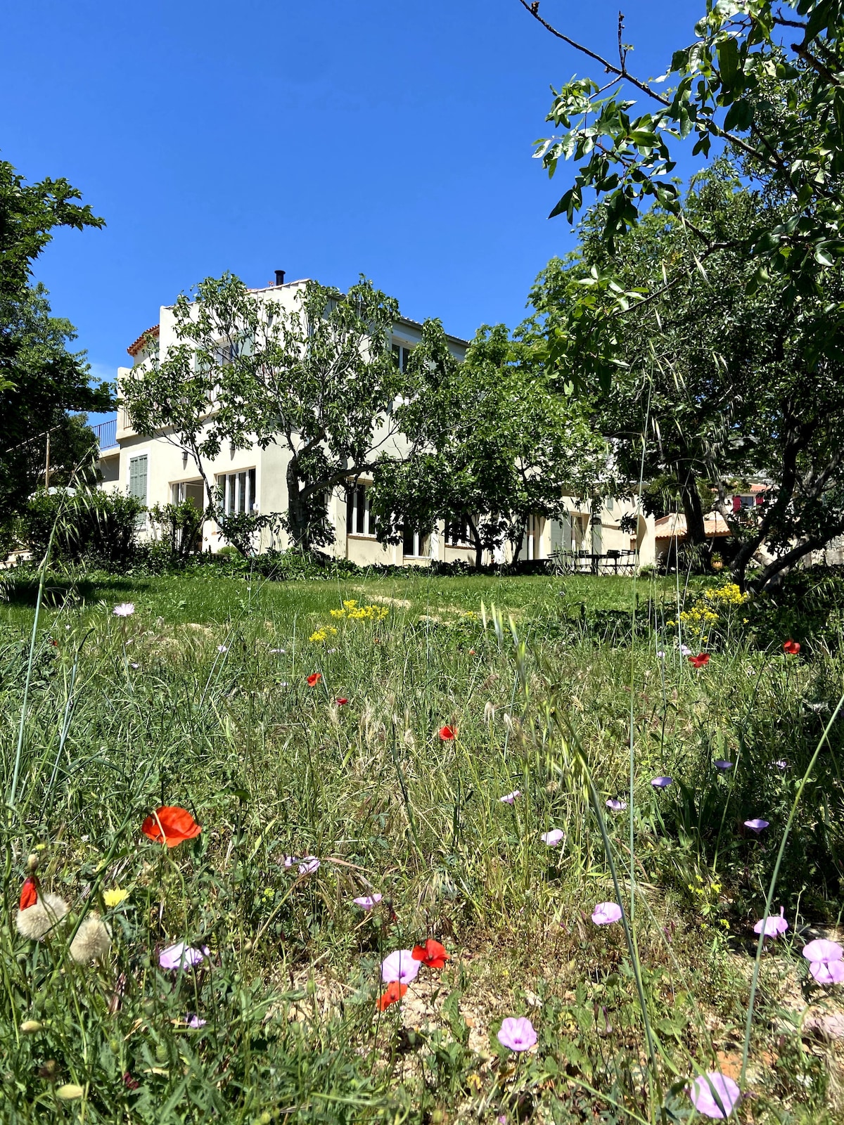 Charmante maison avec piscine et jardin arboré