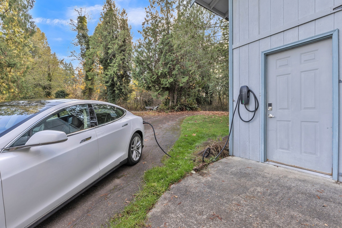 Pet, Family Friendly, Sanddollar Beach House