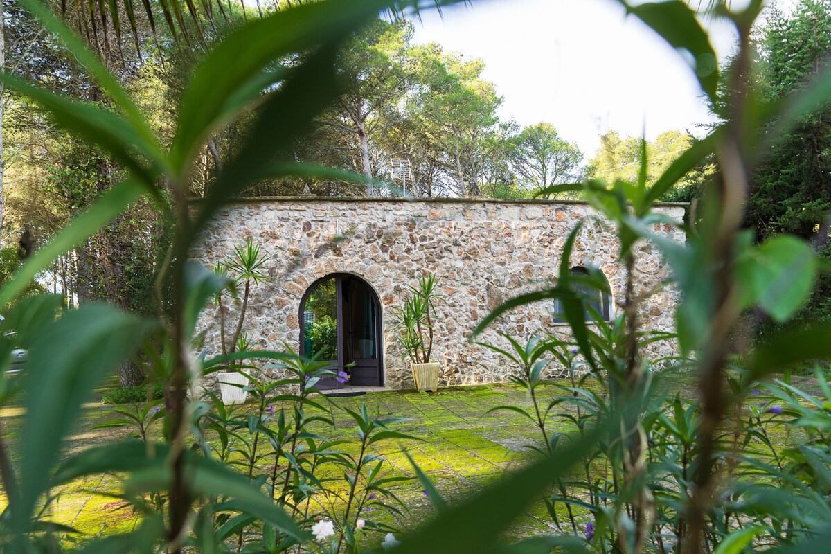 Casa nel bosco - Tenuta Chimeta