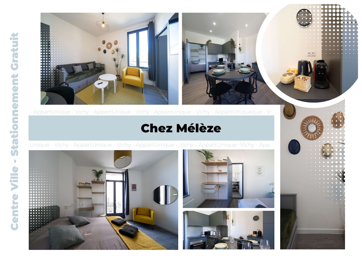 Chez Mélèze - Vichy