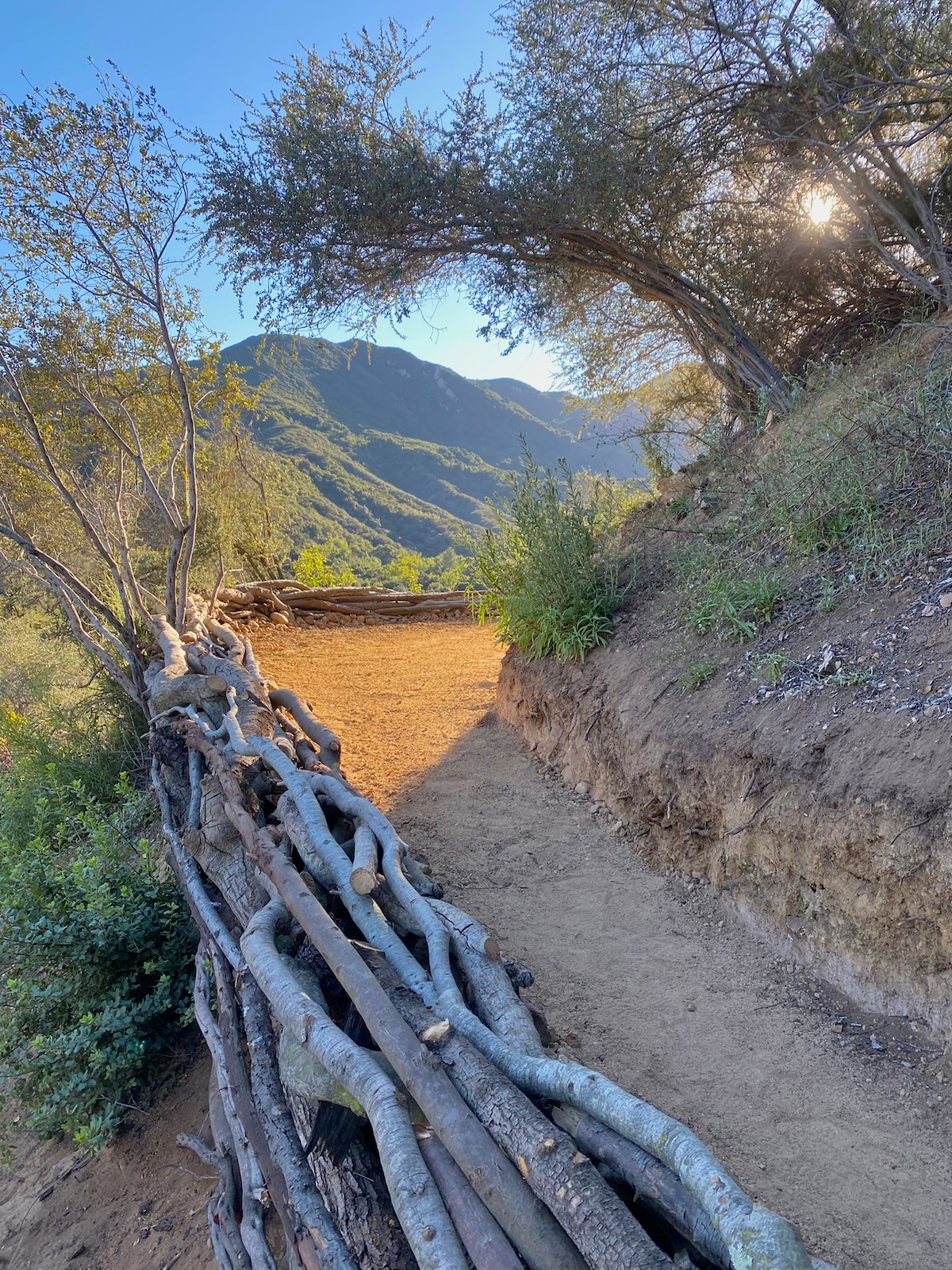 Topanga Panoramic View Loft + Trails & Creeks