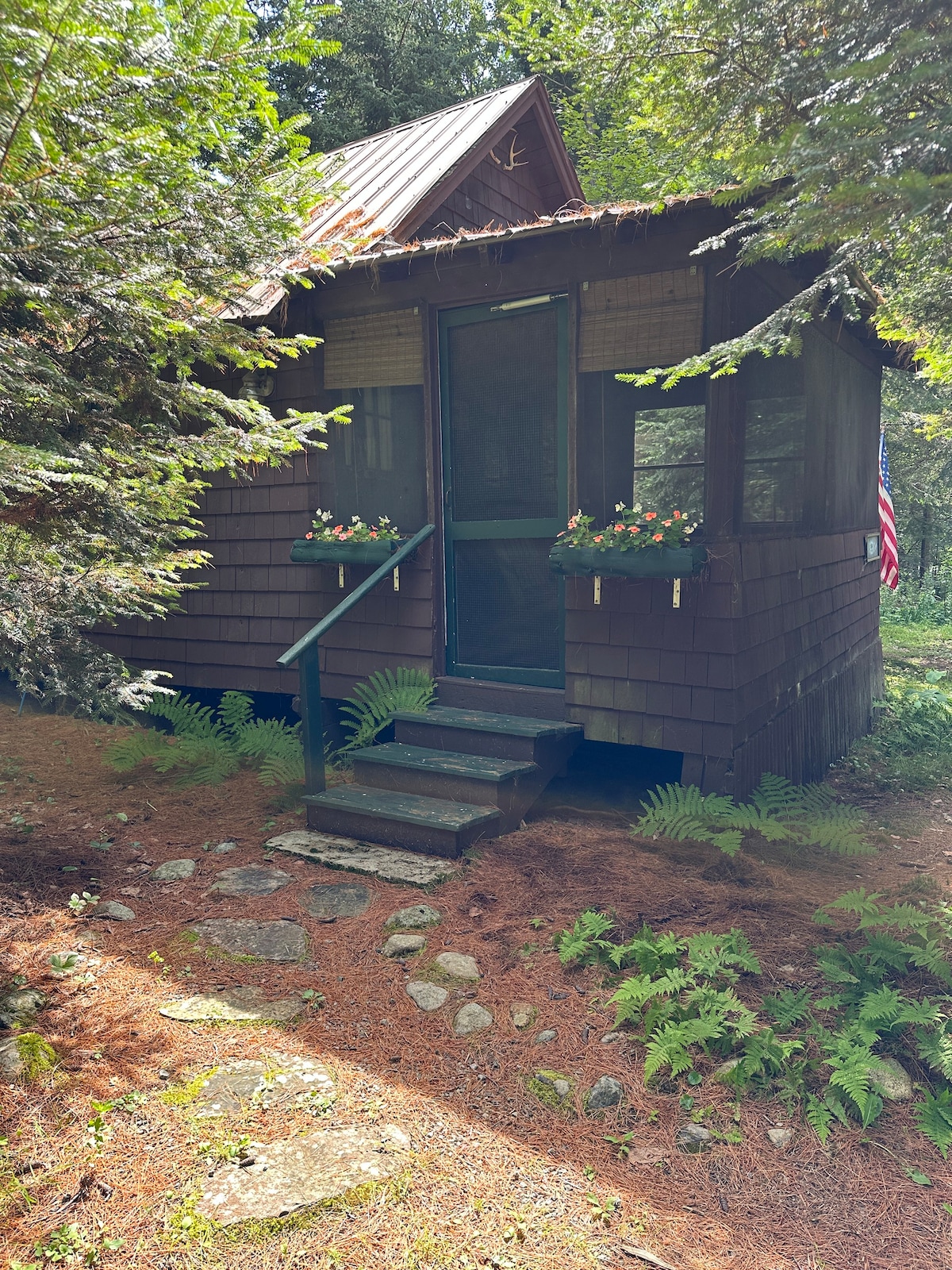 Rustic Adirondack Cabin -步行5分钟即可抵达湖
