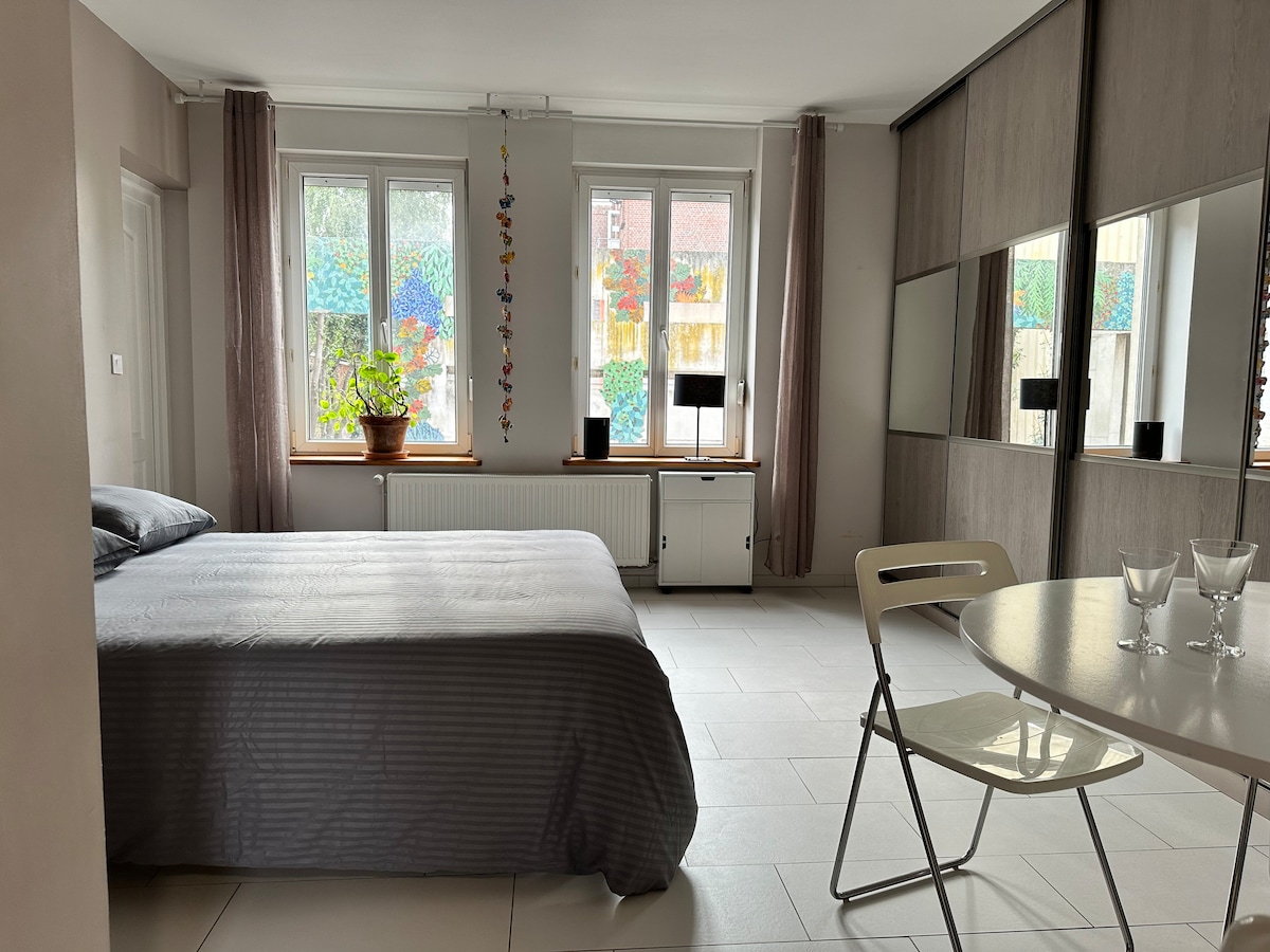 Appartement 30m2 à Wazemmes