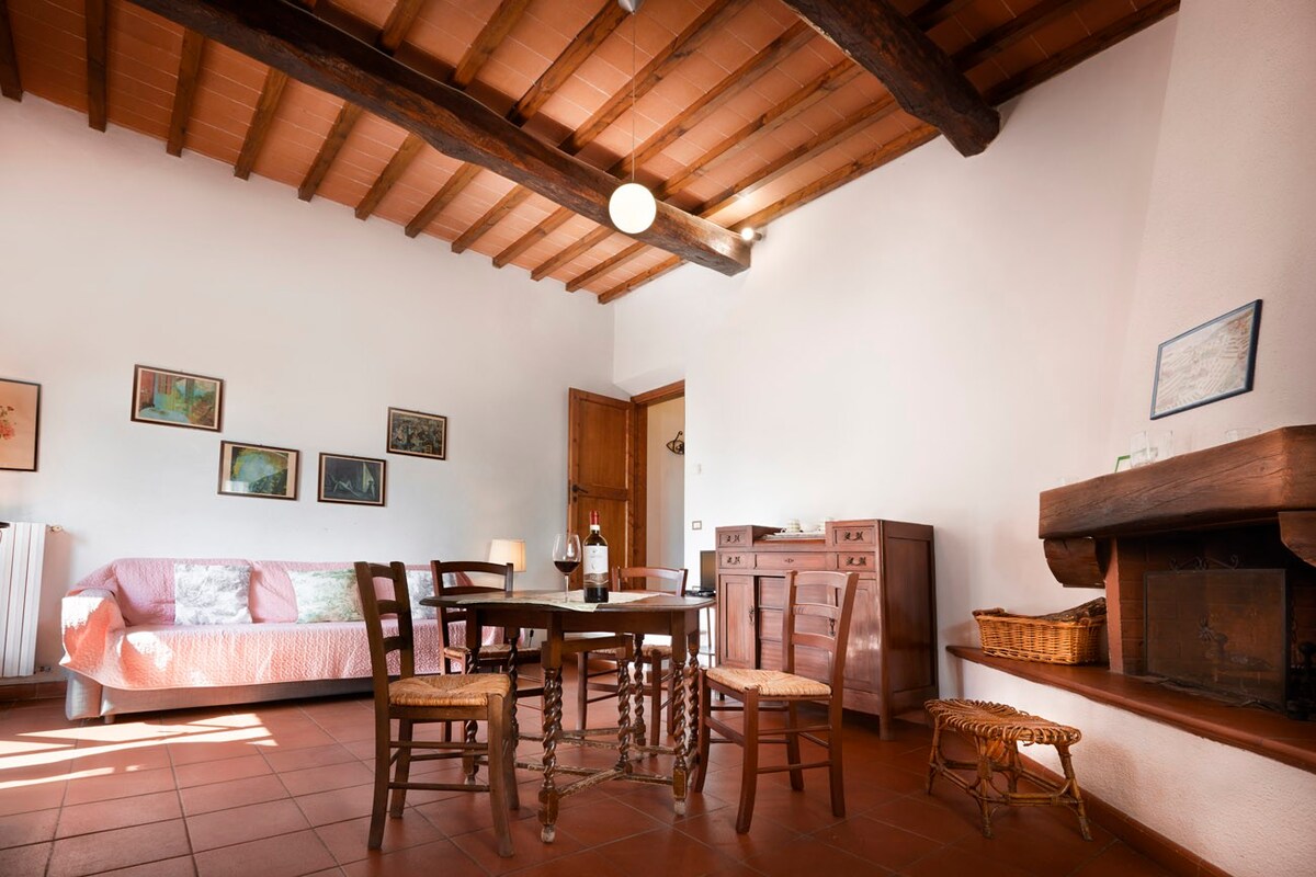 Typical flat in the Chianti hills near the pool