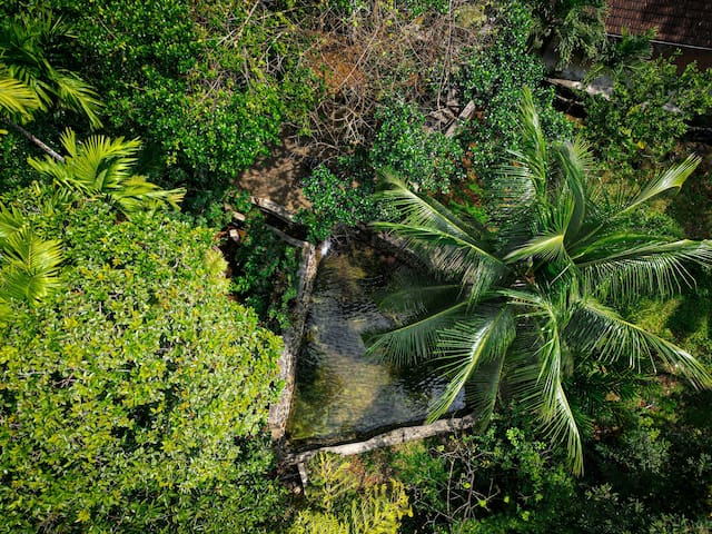Sinharaja Rainforest的民宿