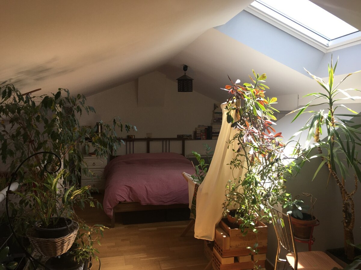 公寓- Loft lumineux