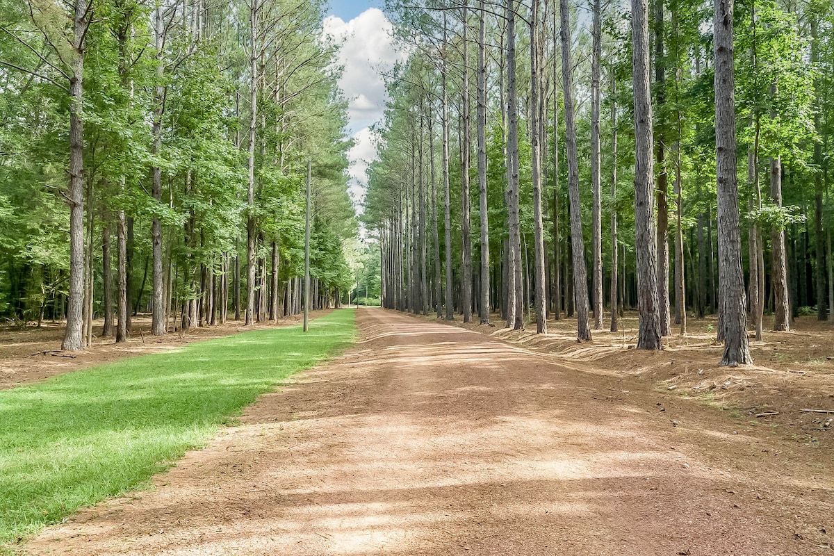 Spacious Modern Lodge on 350 acres near Tuscaloosa