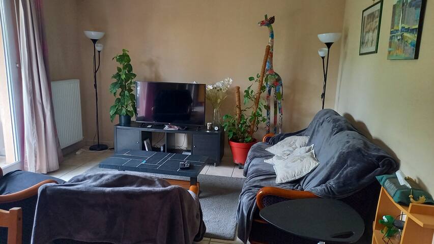 Private room with 1 bedrooms in Villeurbanne - chambre lits superposés accès jardin