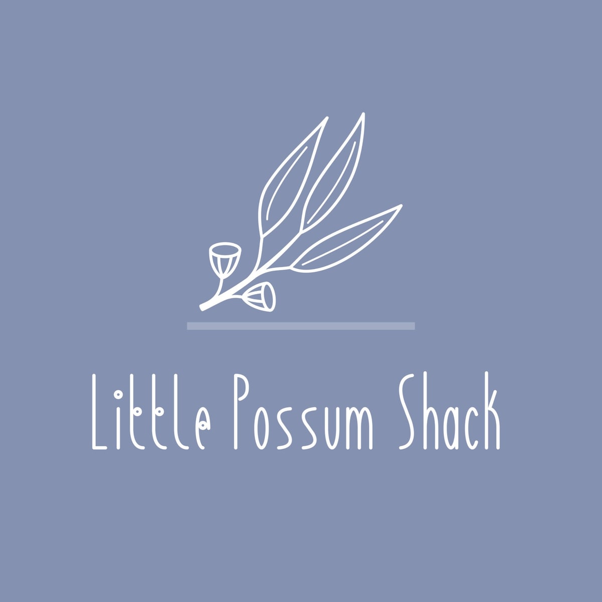 Little Possum Shack ~海滨小屋