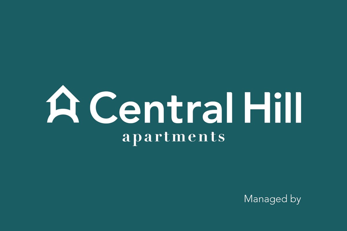 Central Downtown 3E最多13位房客乘坐Central Hill