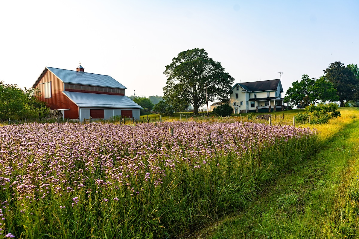 Wine Country Oasis
Charming Farmhouse 
10英亩