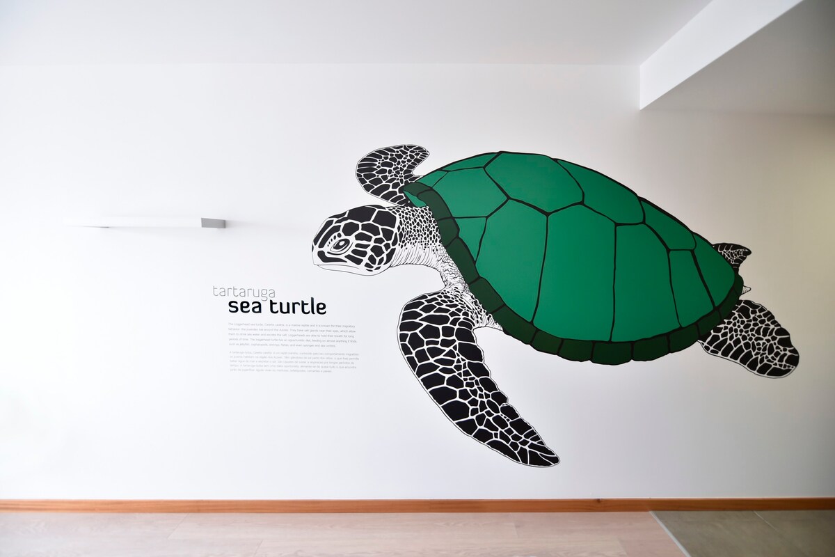 Casa da Baía - 海龟 |亚速尔群岛