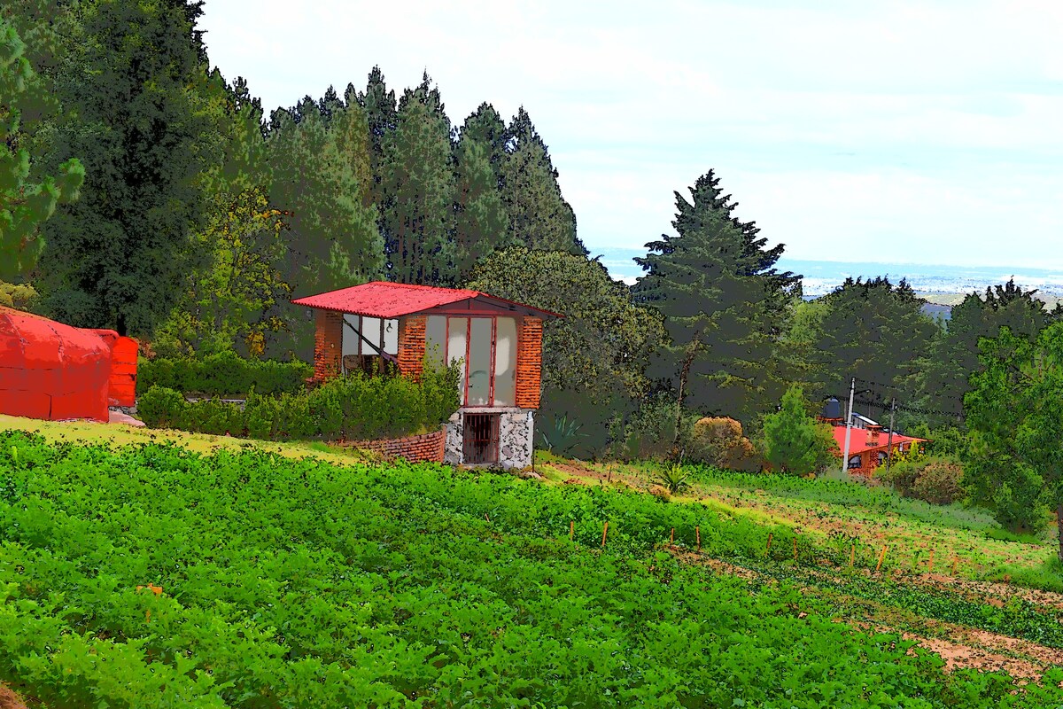 Tlazala B&B露营： Casa Pino