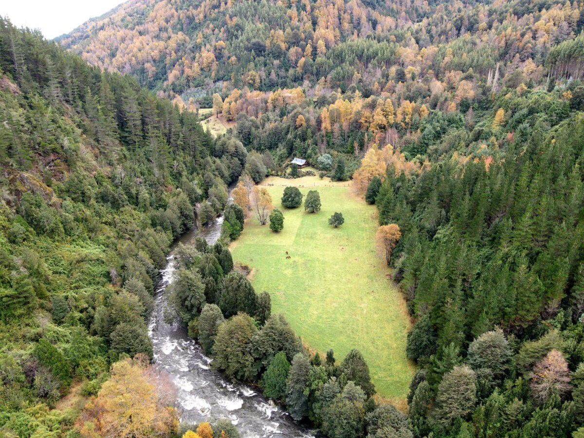 南山乡村小屋