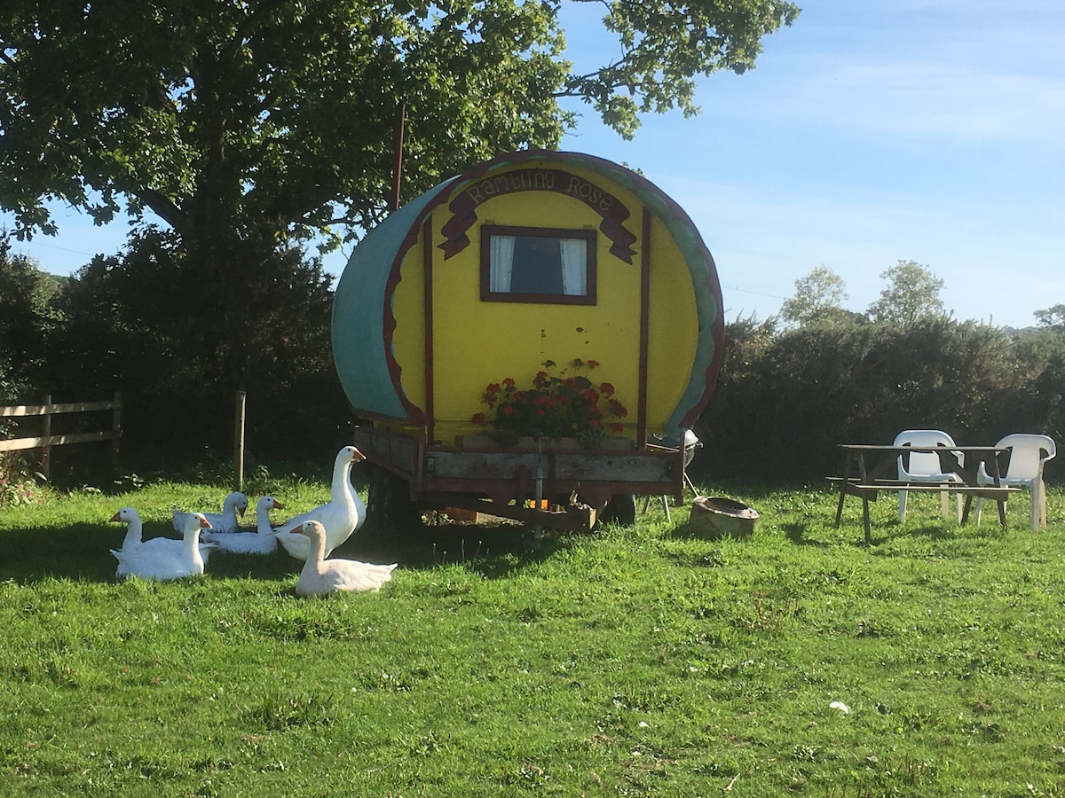 The Gypsy Caravan, Tritchmarsh Farm, EX246SP