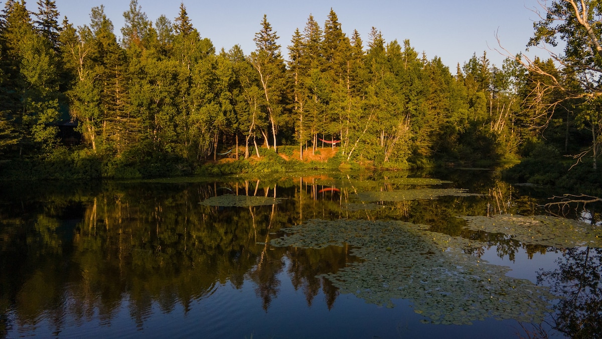 Cedar Paradise on Lotus Pond