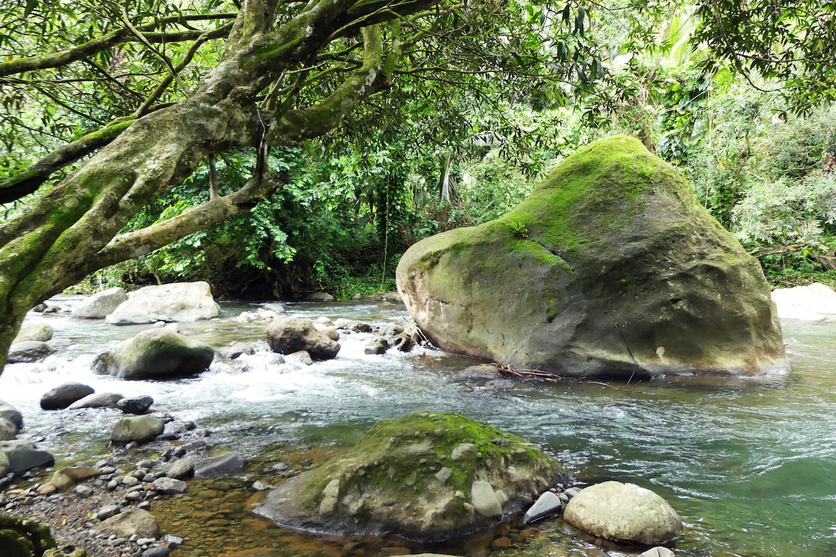 Kalinago River Guestroom