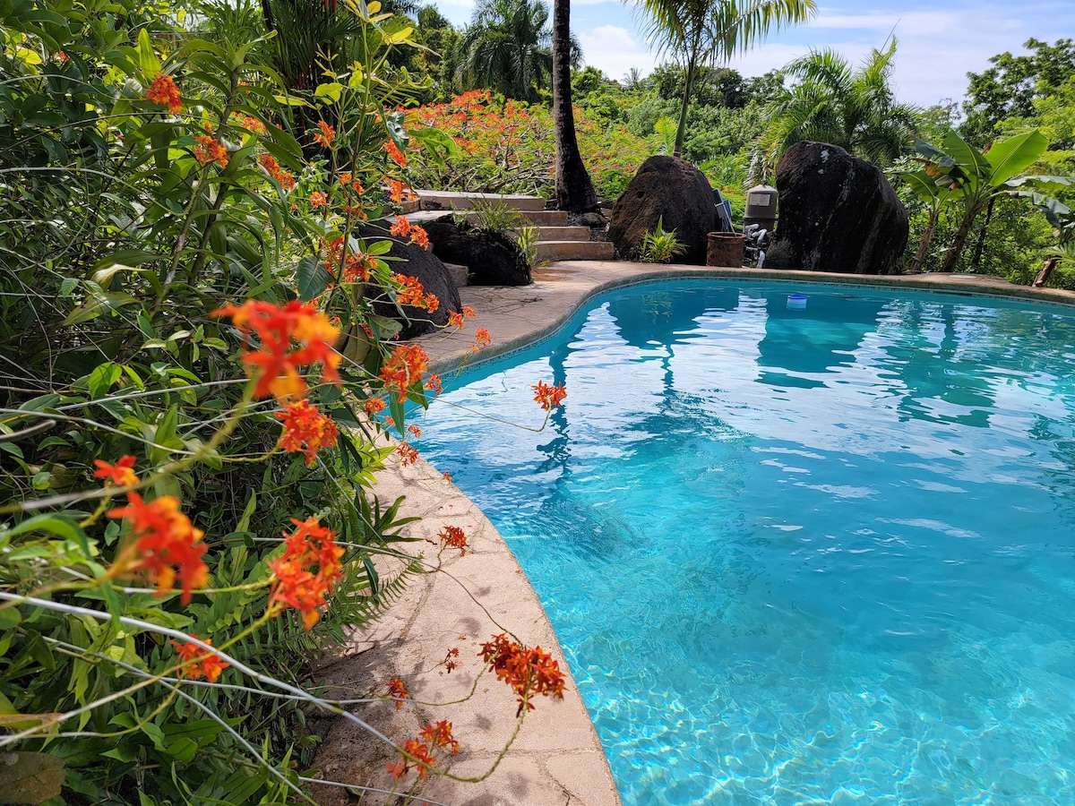 El Yunque度假木屋、私人泳池、新装修！