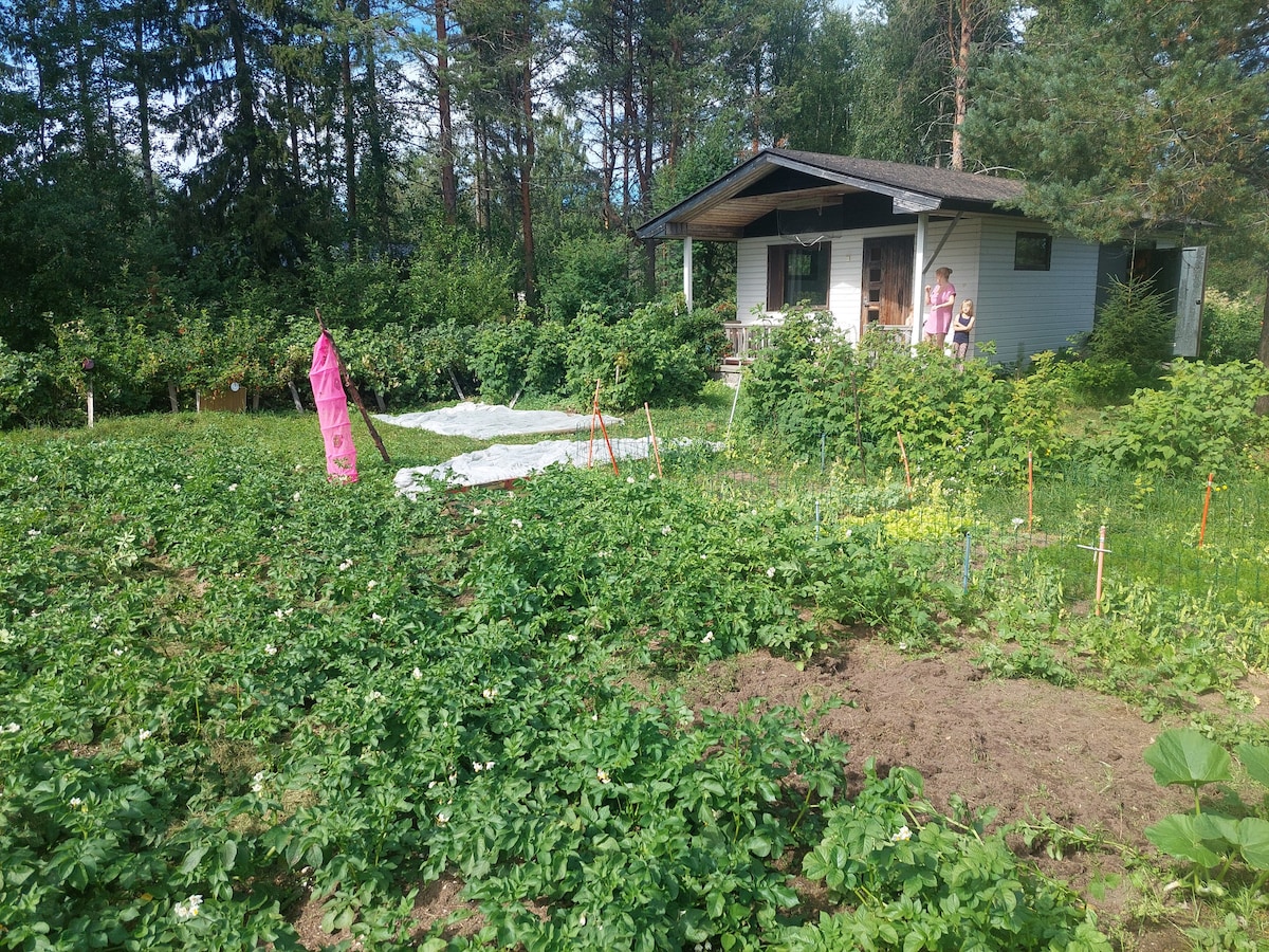 Kemijoki河畔带阳台的后院小屋