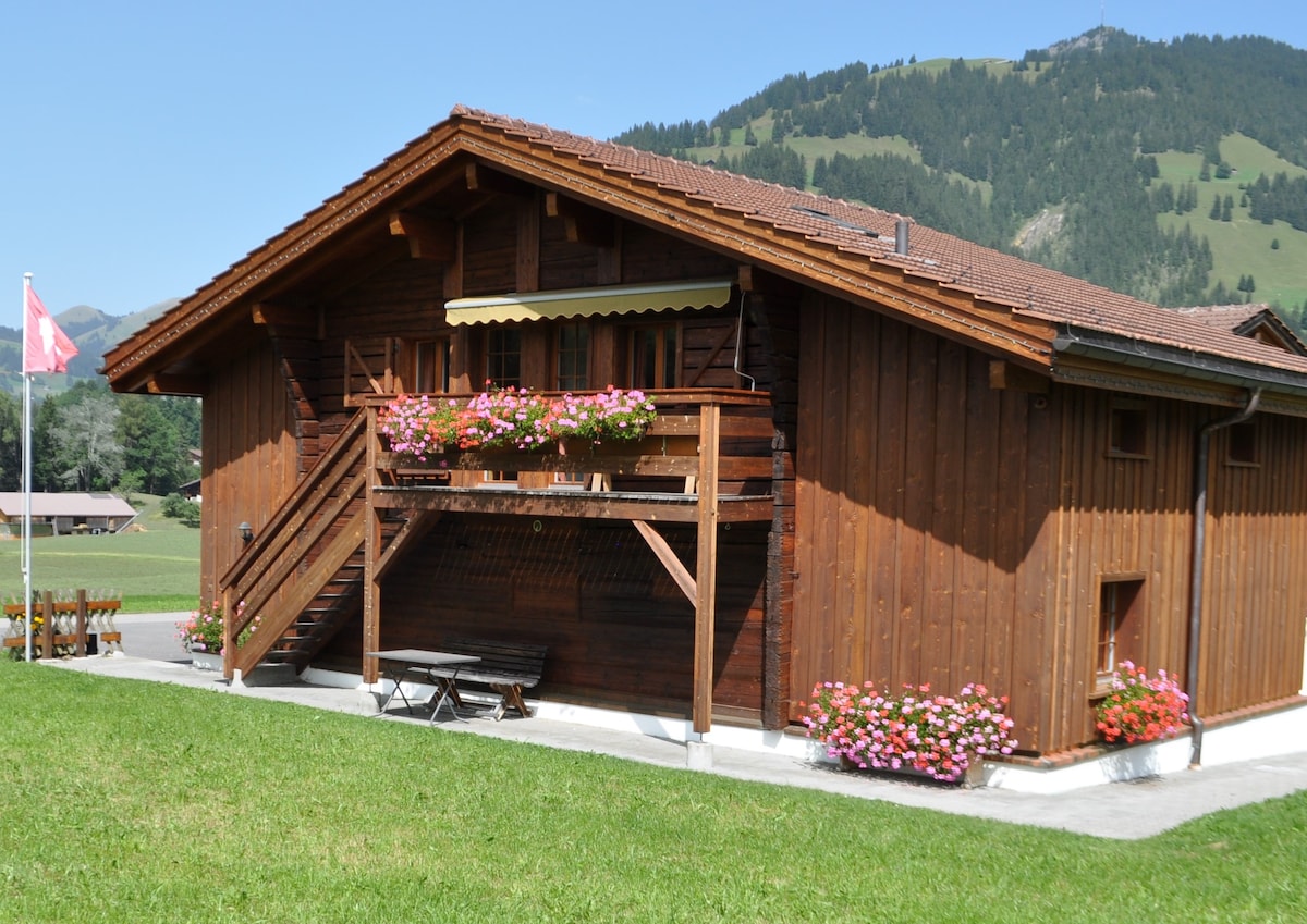 a.)带阳台的Weidhaus度假公寓， Gstaad