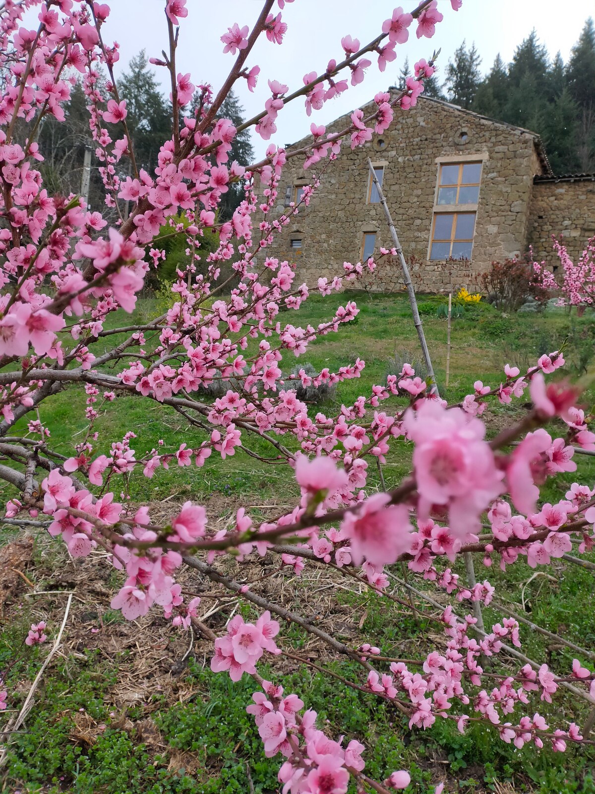 Petit gîte 2 pers. "l'Estancòt".