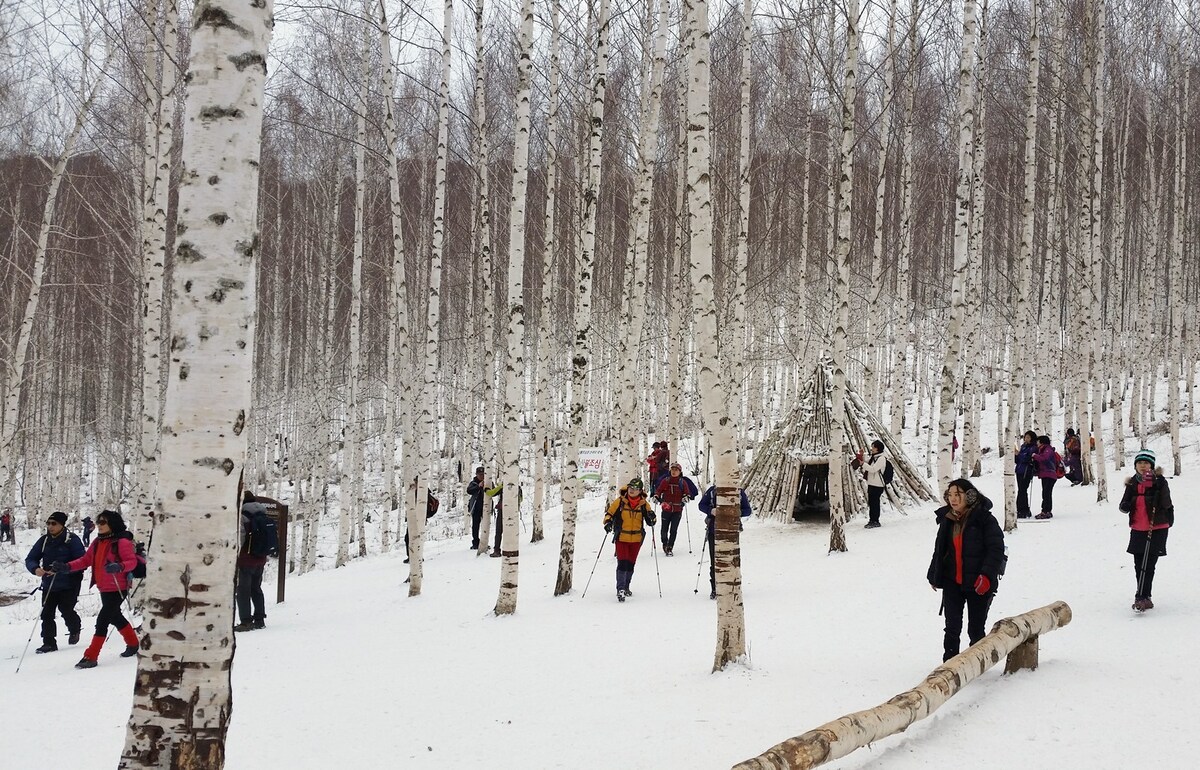 Seokjanggol旅行- Nullin （爱彼迎优质住宿加早餐。  Miso国家代表） Birch Forest。Pillary Hot Spring. Nryeolan漂流