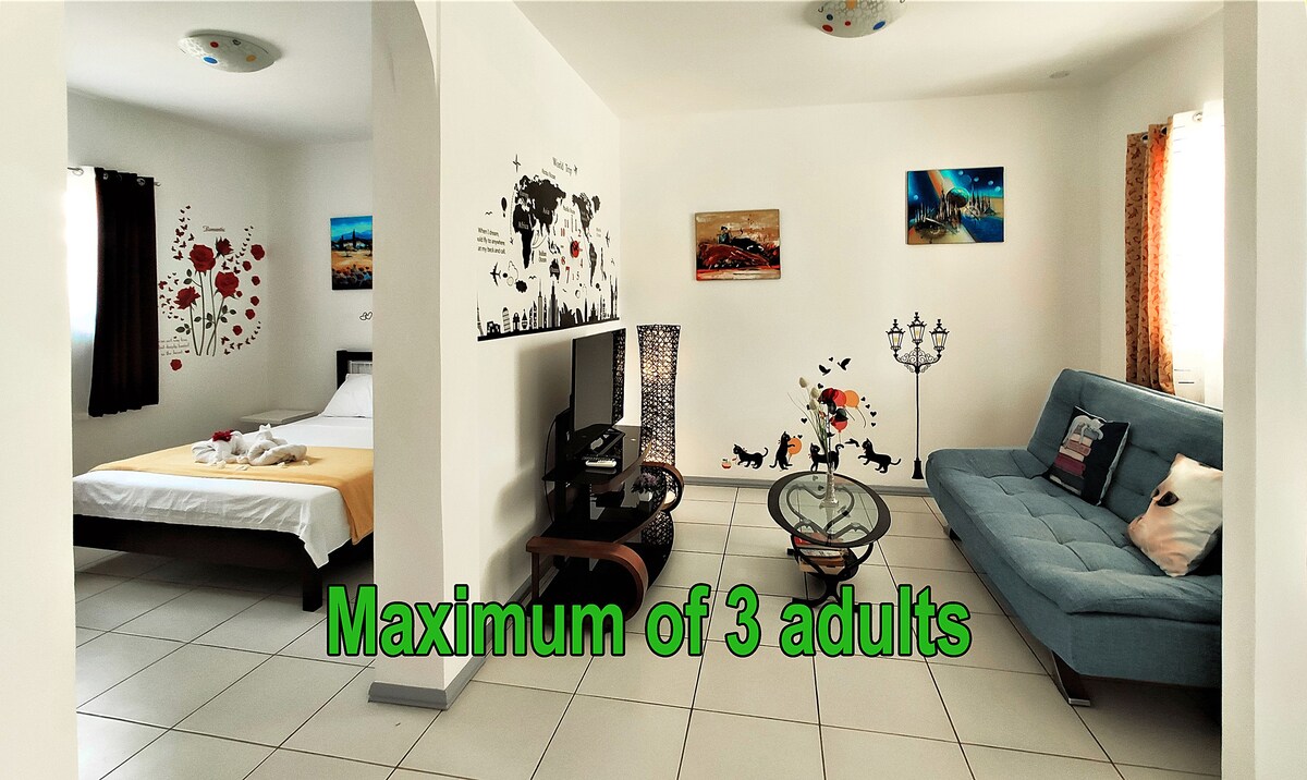 (4) Apartment : 1 chambre, 1 salon, 1 coin repas